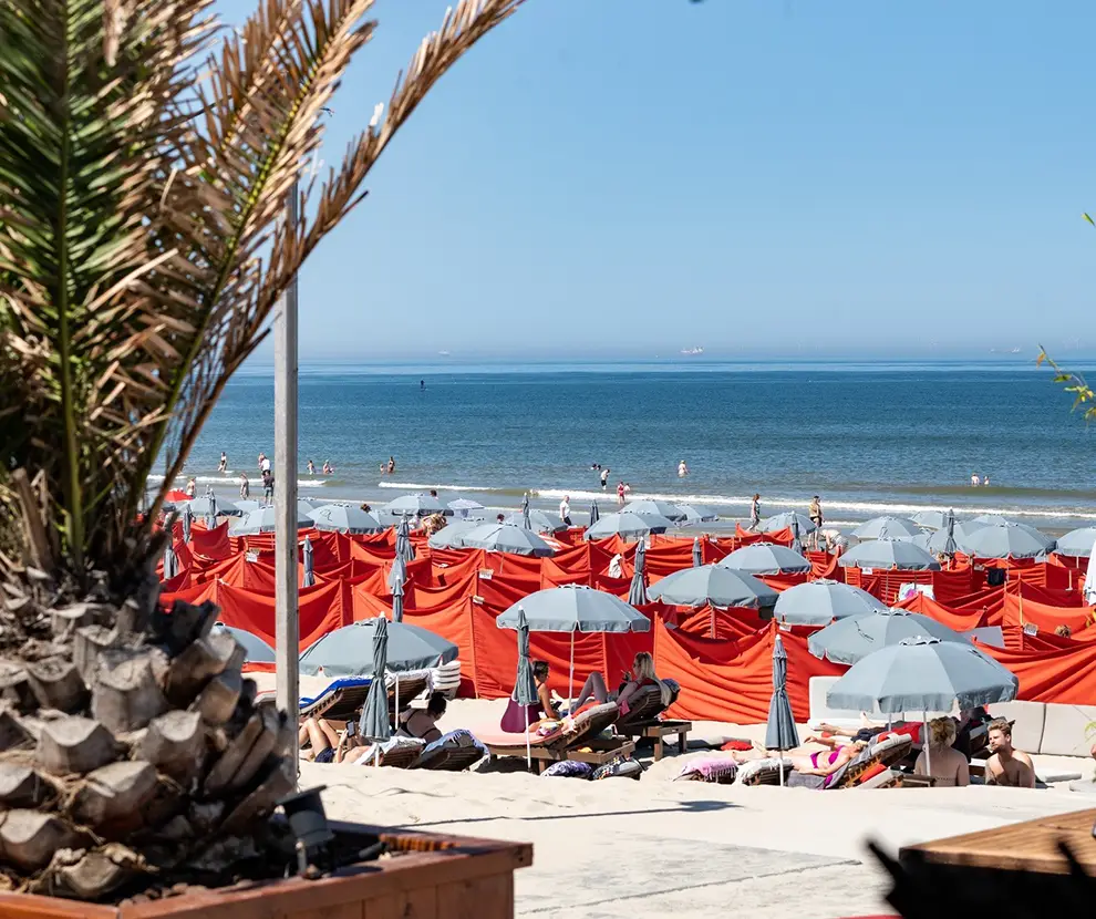 Playa - Bries Noordwijk